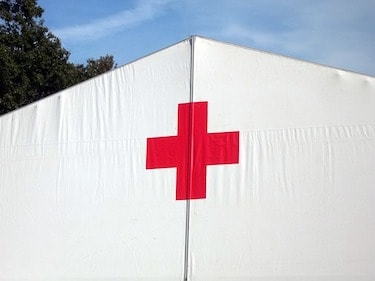 Online nonprofit management degree grads run companies like the Red Cross