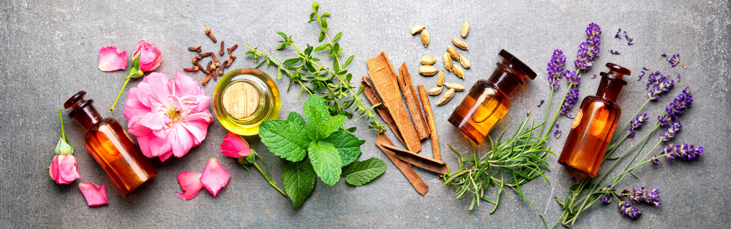 Accredited Holistic Health Schools Online The Top Programs