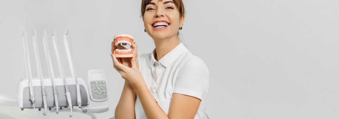 How to Become a Dental Hygienist, Smiling woman dentist with mock-up of human jaws on white background. Banner for dental theme. Concept of modern equipment for tooth treatment, professional clinic. Photo with free copy space how to become a dental hygienist