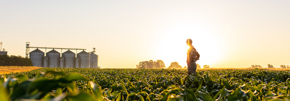 Online Agriculture Degree